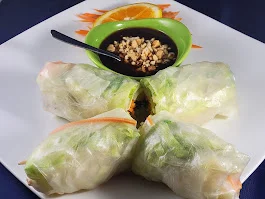 Fresh Spring Rolls - Chang Kao Thai Restaurant Bradenton